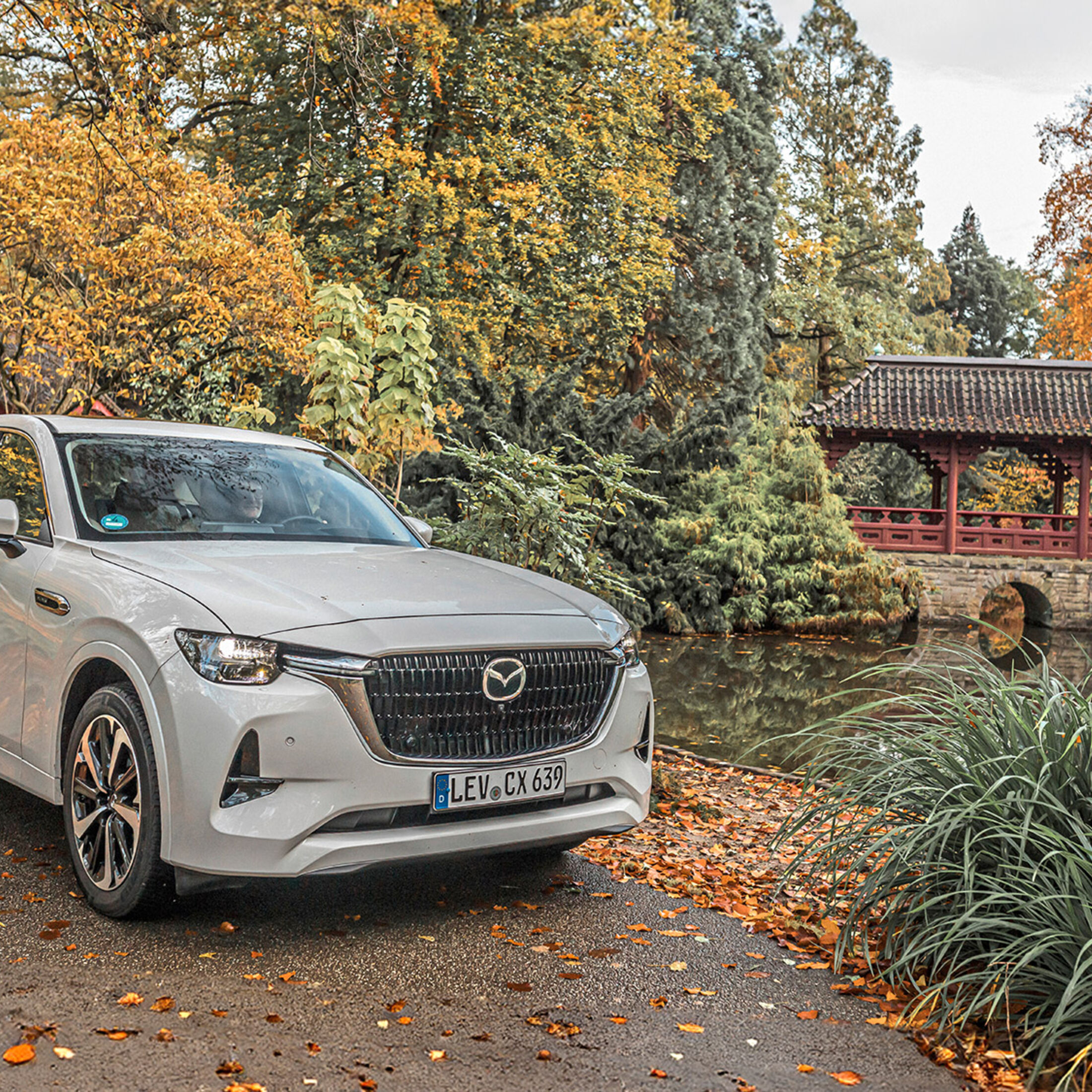 Wie lange braucht mein Mazda von Japan nach Deutschland?