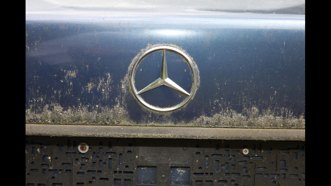 Mercedes 250 D, Emblem