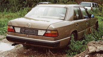Mercedes 300 D, Heckansicht 