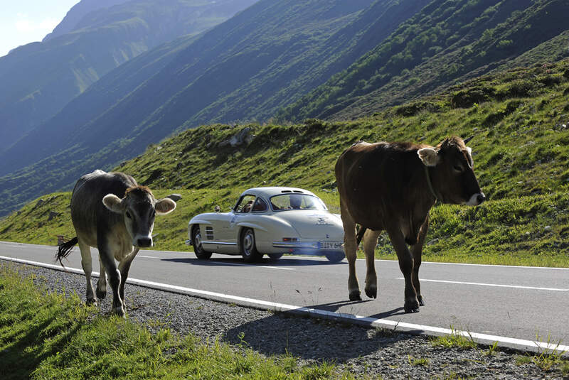 Mercedes 300 SL und Kühe - Silvretta Classic 2010 