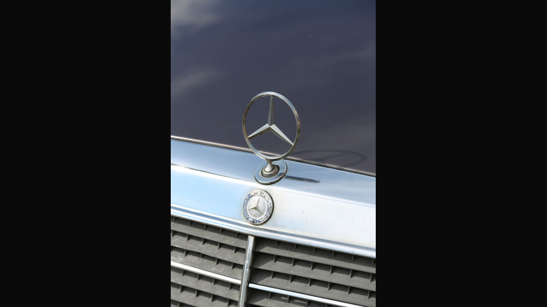 Mercedes-Benz 230 CE, C124, Stern
