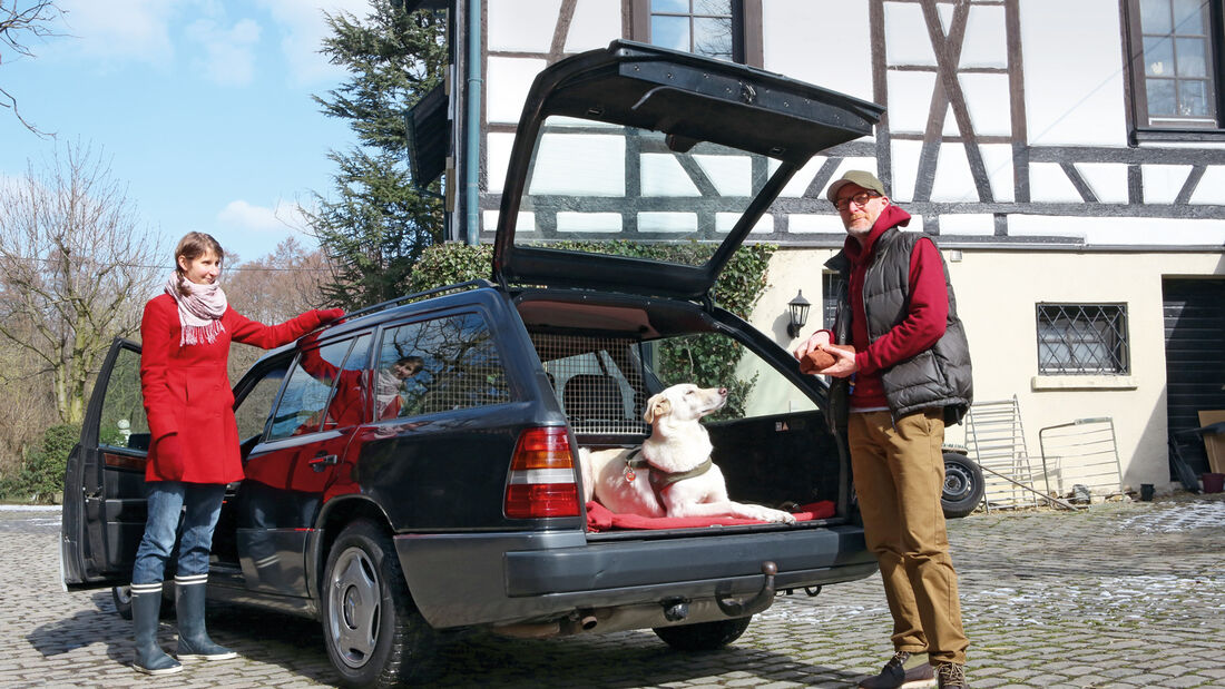 Mercedes-Benz 230 TE, Heckklappe, Kofferraum