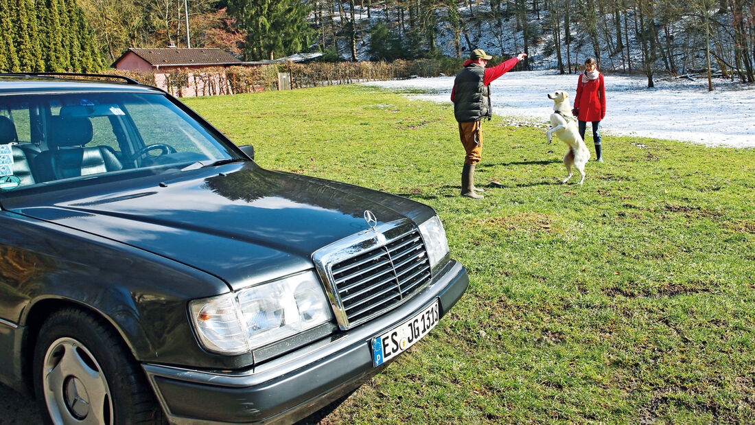 Mercedes-Benz 230 TE, Motorhaube