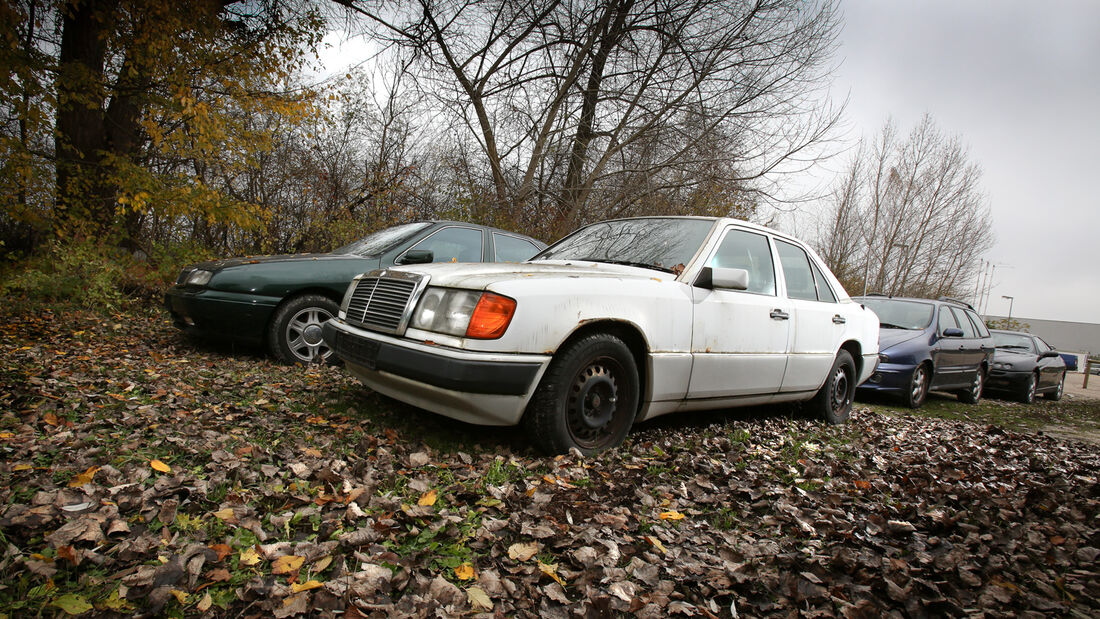 Mercedes-Benz 250 D, Frontansicht