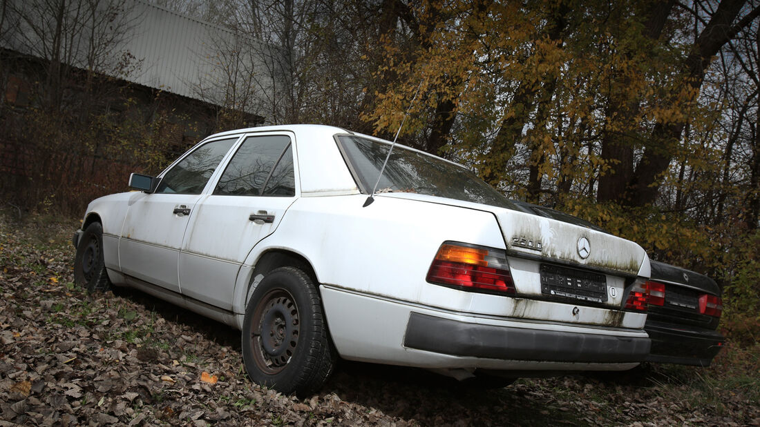 Mercedes-Benz 250 D, Heckansicht