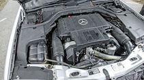 Mercedes-Benz W140, V8/V12, Motor