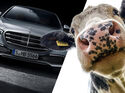 Mercedes S-Klasse Tierfrei Vegan kein Leder Interieur