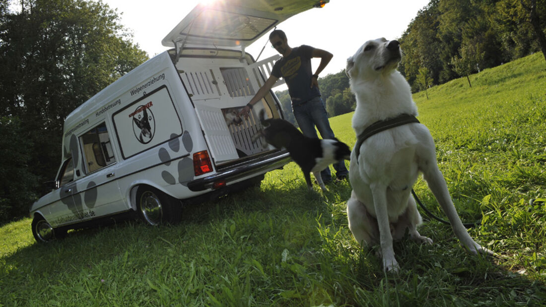 Mercedes VF123 E28 Binz KTW, Heckklappe, Hunde