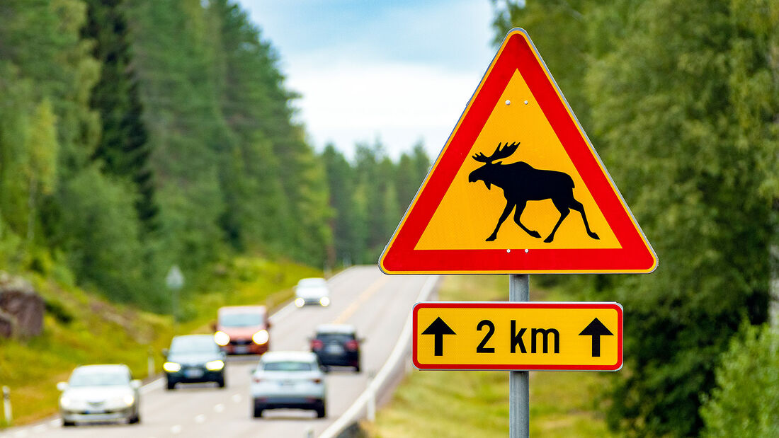 Moose warning sign: next 2km