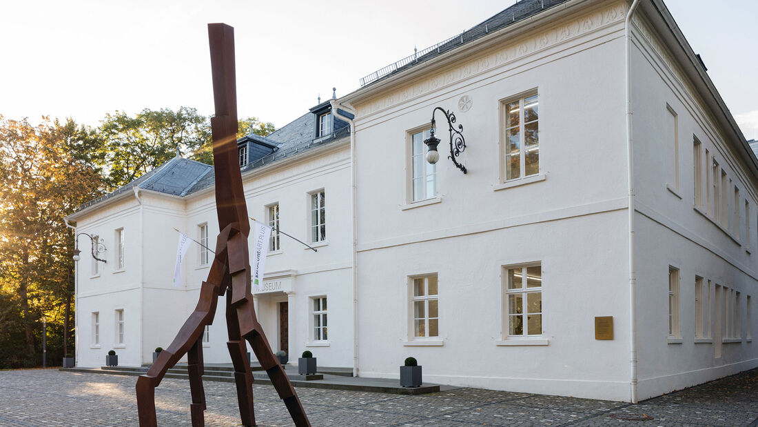 Museum Art.Plus Donaueschingen mit David Nash, Lightning Strike, 2008