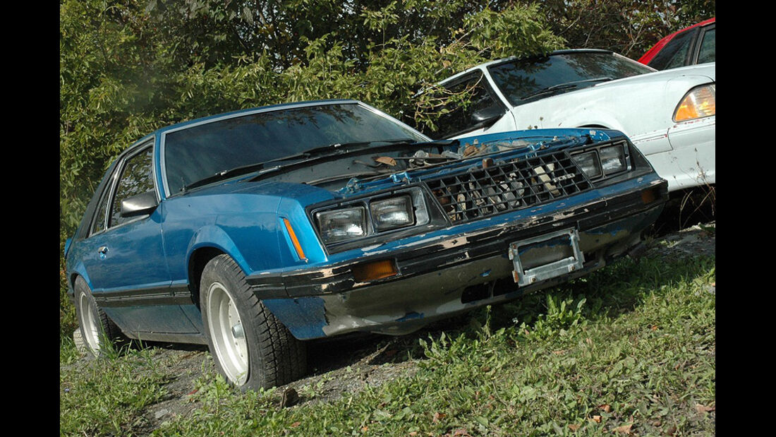 Mustang-Tuner in Kanada