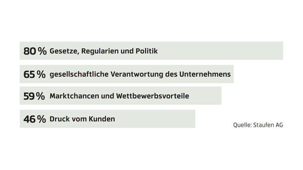 Nachhaltigkeits-Strategien, Faktoren