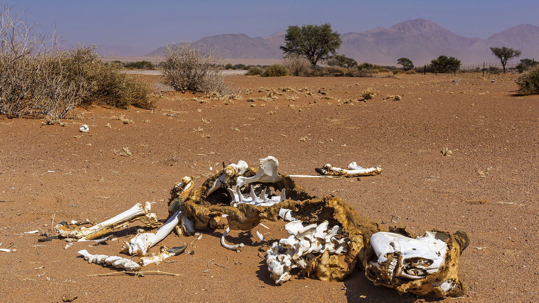 Namibia, Klimawandel