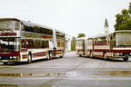 Neoplan Jumbocruiser N138/4 und Longliner 1975 Testfahrt