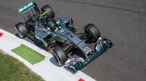 Nico Rosberg - GP Italien 2014