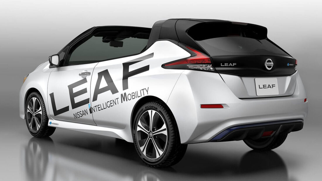 Nissan Leaf Open Car