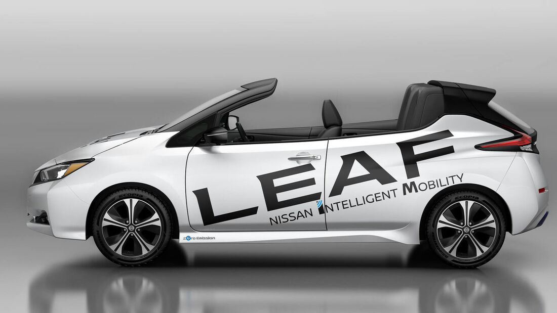 Nissan Leaf Open Car