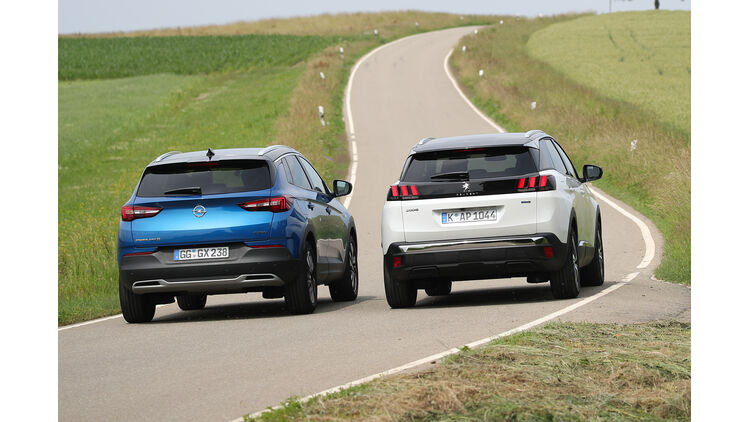 Opel Grandland X Und Peugeot 3008 Im Test Auto Motor Und Sport