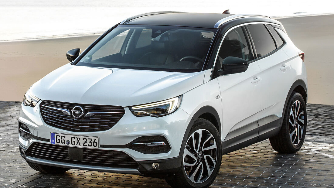 Opel Grandland X 2.0 Diesel: Kompakt-SUV Mit 177 PS - Auto Motor Und Sport