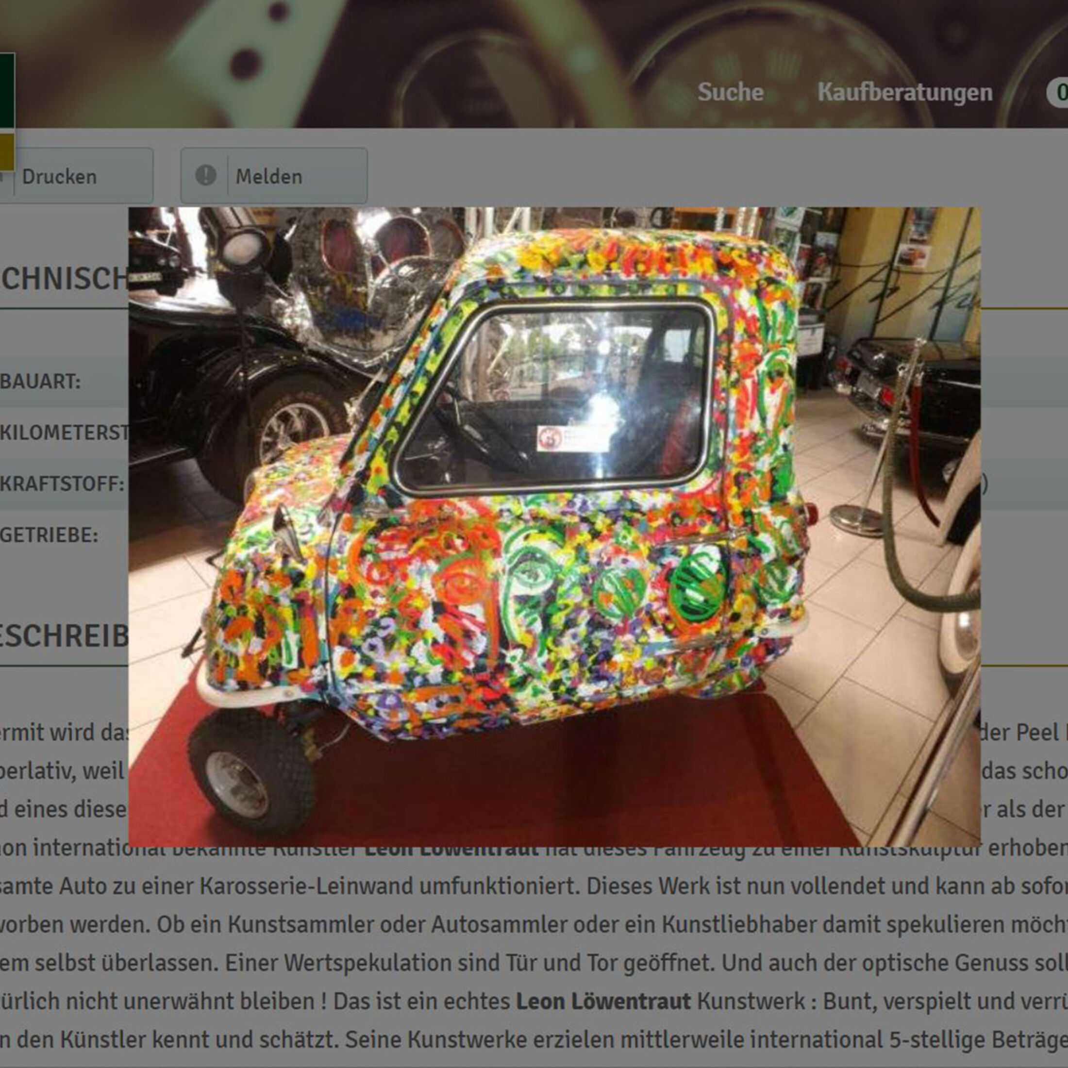 Auto Deko in Sonstige Innenraum-Dekorationen online kaufen