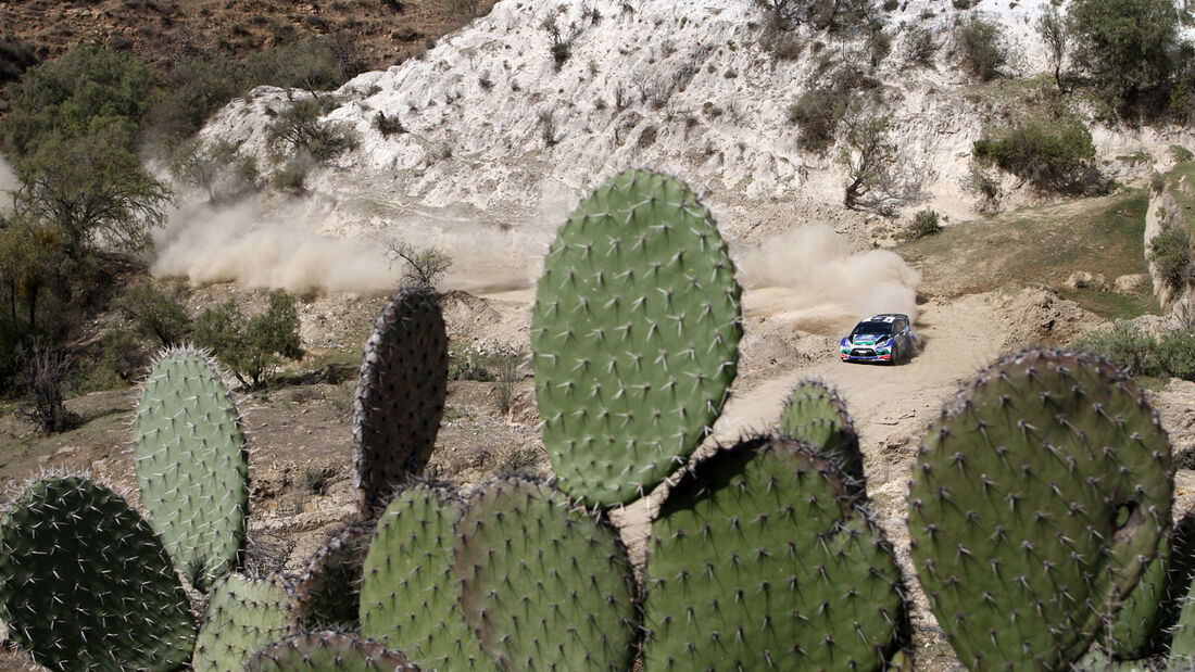 Petter Solberg WRC Rallye Mexiko 2012