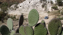Petter Solberg WRC Rallye Mexiko 2012