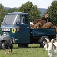 Piaggio Ape P 501 Dreirad