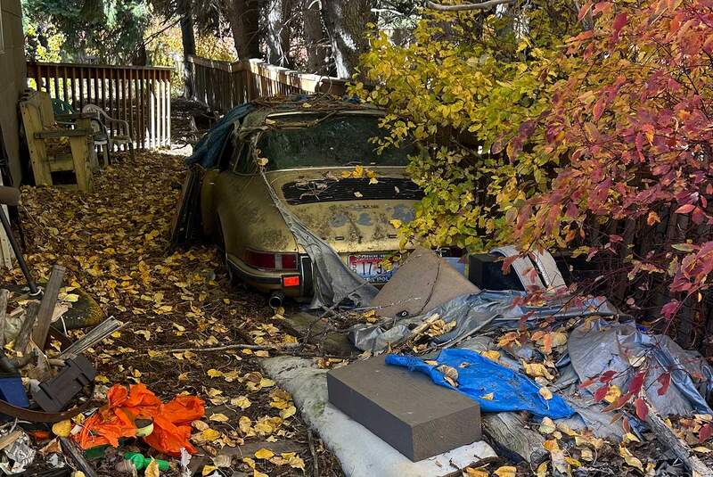 Porsche 911 E Targa unter Kiefernzapfen begraben