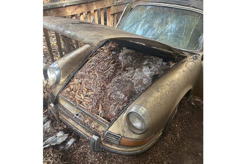 Porsche 911 E Targa unter Kiefernzapfen begraben