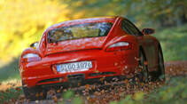 Porsche Cayman (987c), Exterieur