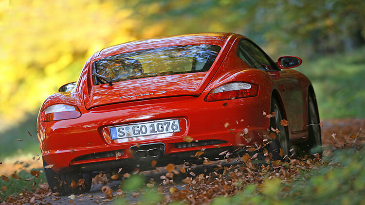 Porsche Cayman 987c Im Gebrauchtwagen Check Auto Motor Und Sport