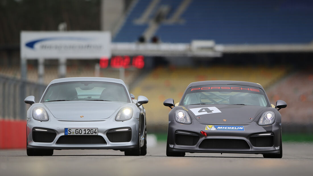 Vergleich: Cayman GT4 trifft auf Cayman im Renntrimm - AUTO BILD