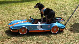 Porsche-Modell 911 Targa mit Hund