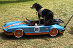 Porsche-Modell 911 Targa mit Hund