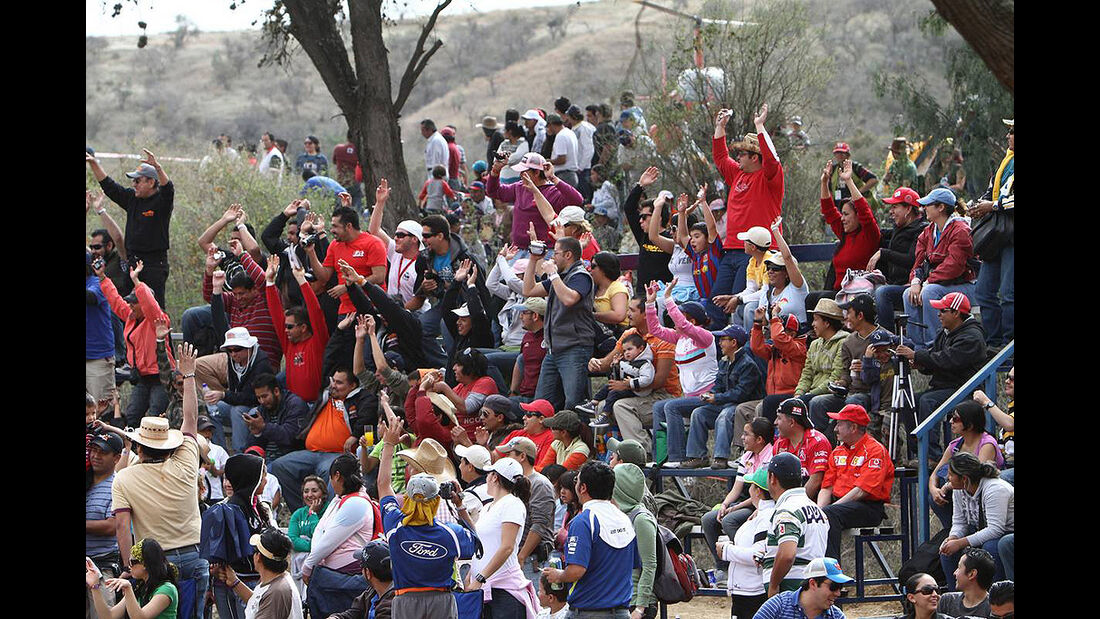 Rallye Mexiko 2010, WRC