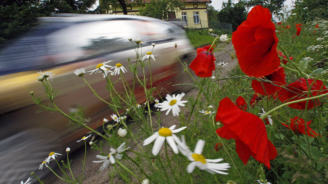 Rallye Polen 2009