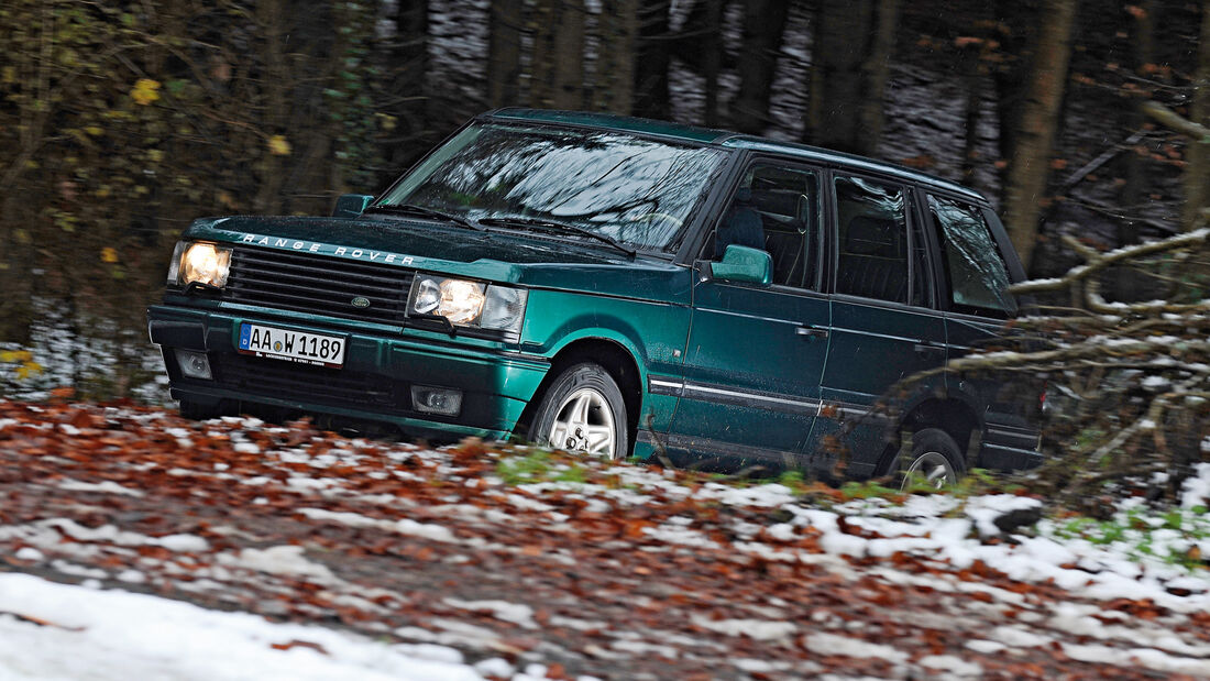 Range Rover 4.6 HSE, Seitenansicht, Wald