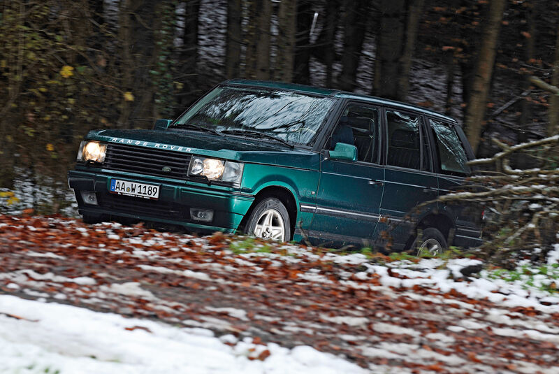 Range Rover 4.6 HSE, Seitenansicht, Wald