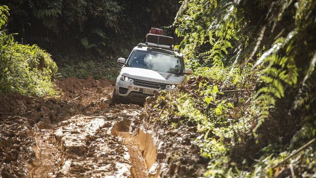 Range Rover im Dschungel