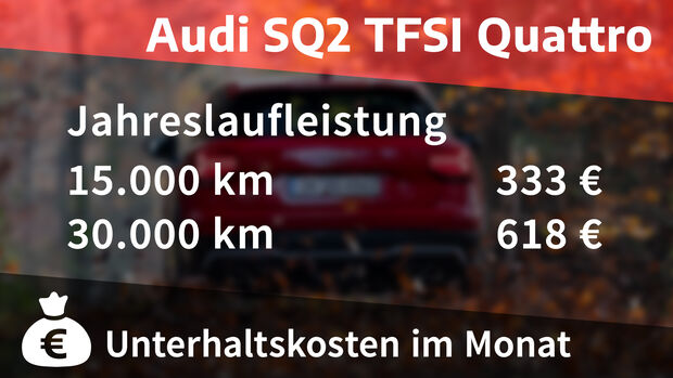 Realverbrauch Audi SQ2