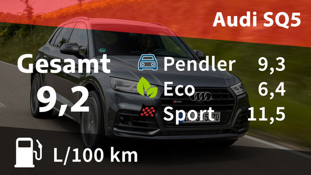 Realverbrauch Kosten Audi SQ5