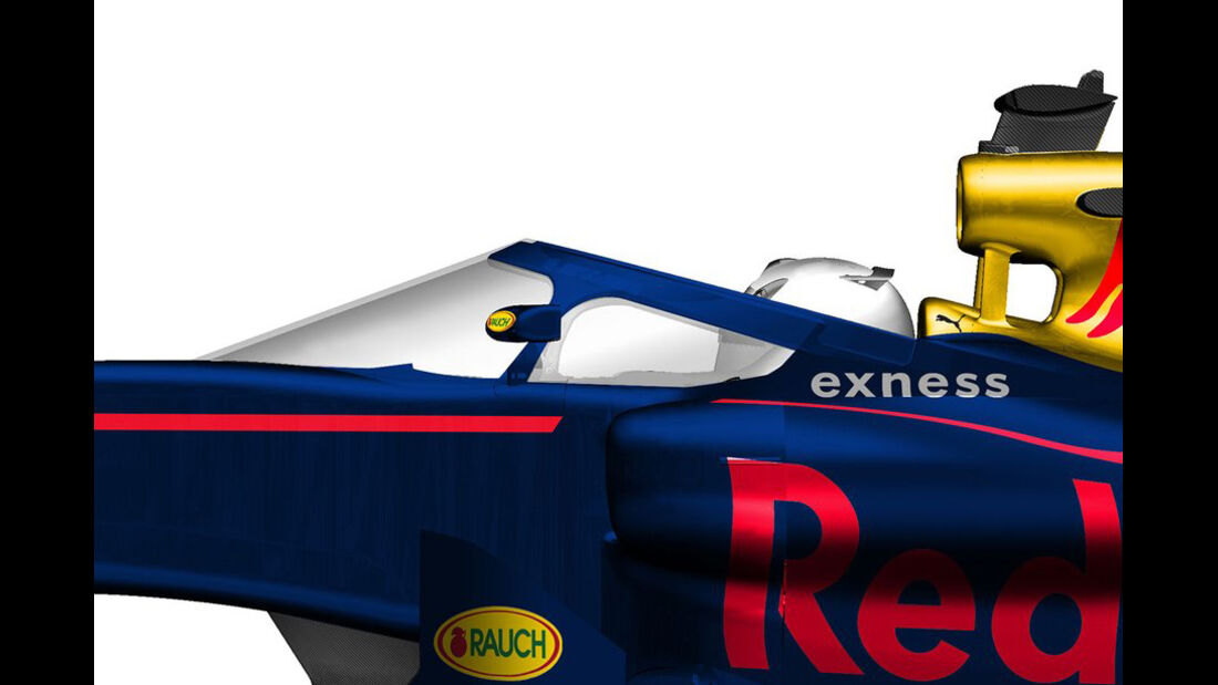 Red Bull - Cockpitschutz - Concept - 2016