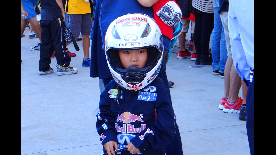 Red Bull-Fan - Formel 1 - GP Japan - Suzuka - 10. Oktober 2013