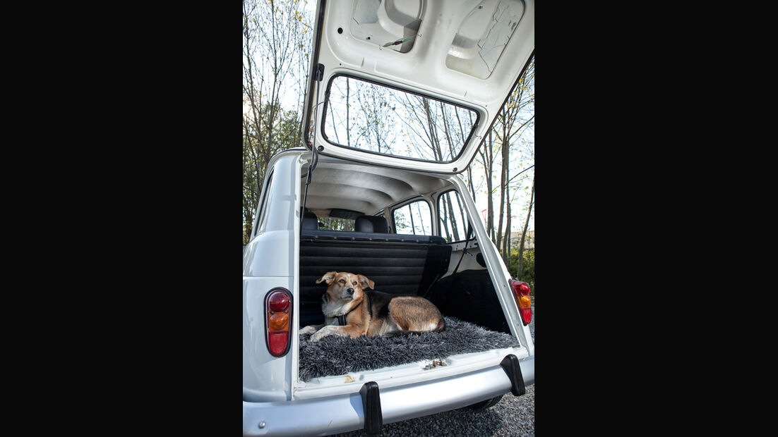 Renault 4, Kofferraum, Hund, Heckklappe offen