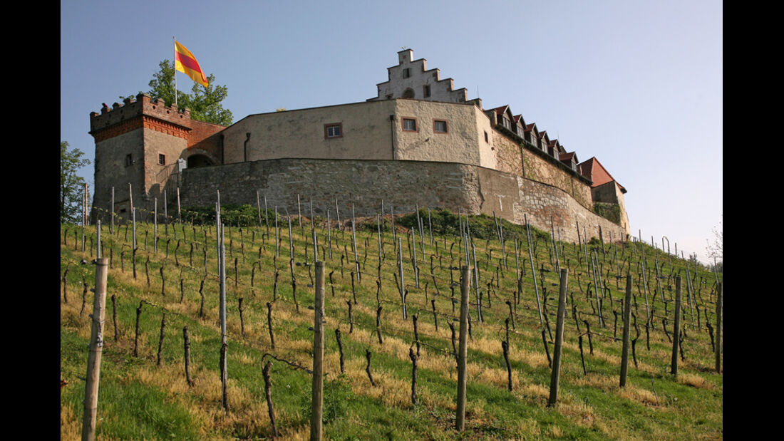 Rheintal, Burg, Weinberg