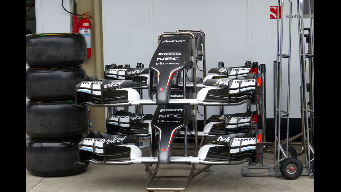 Sauber - Formel 1 - GP Brasilien -5. November 2014