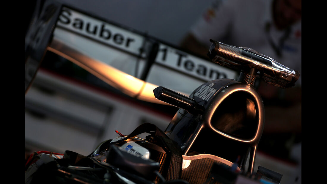 Sauber - Formel 1 - GP Indien - Delhi - 24. Oktober 2013