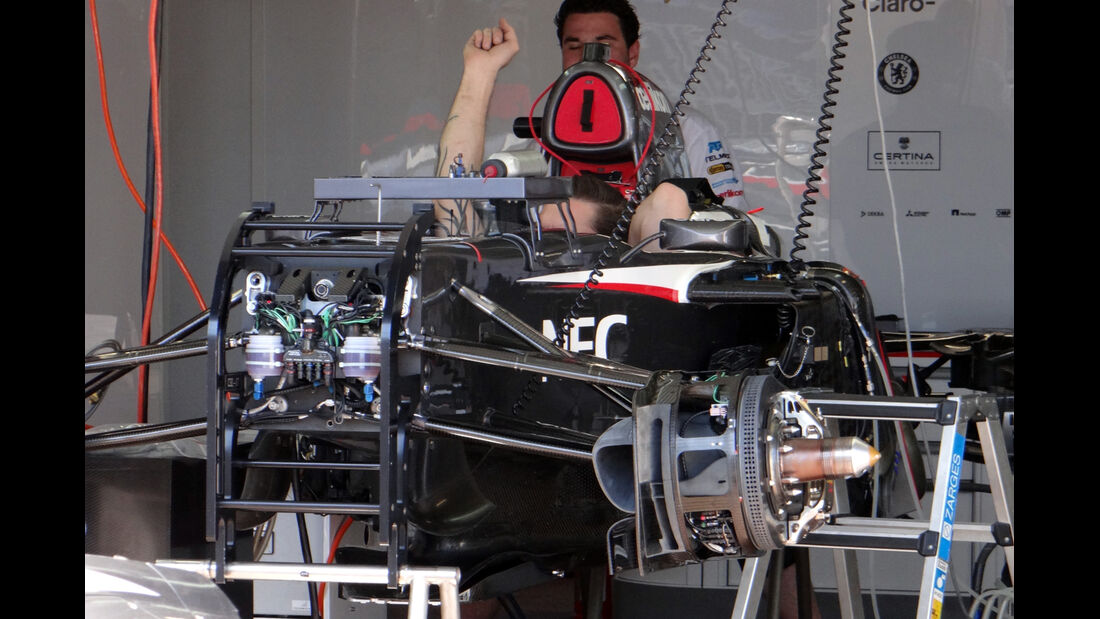 Sauber Front - Formel 1 - GP Monaco - 22. Mai 2013