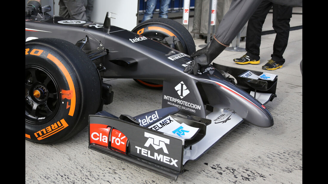 Sauber - Nase - Formel 1 - Jerez-Test - 2014