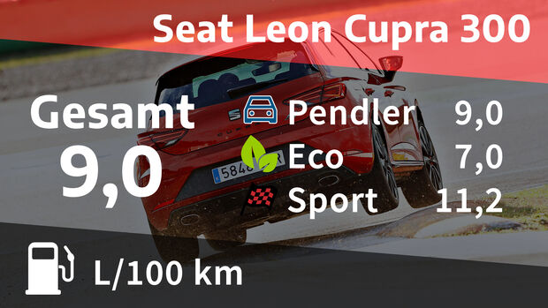 Seat Leon Cupra 300